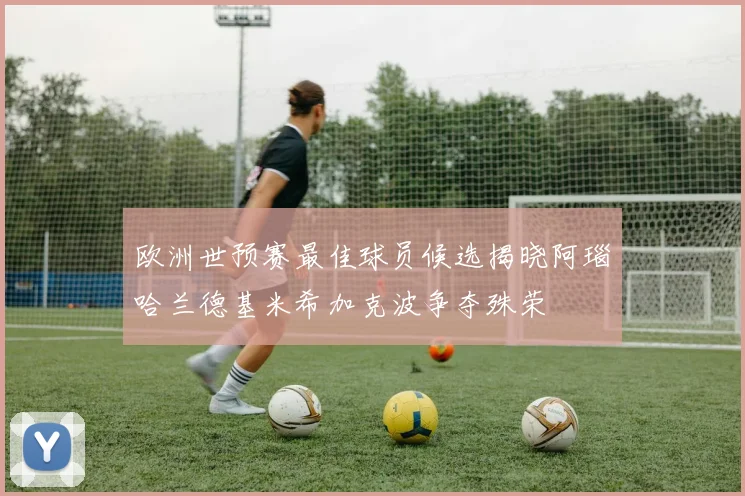 欧洲世预赛最佳球员候选揭晓阿瑙哈兰德基米希加克波争夺殊荣