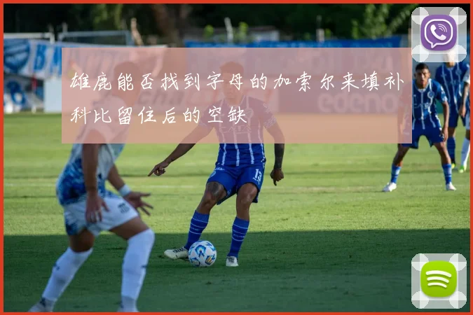 雄鹿能否找到字母的加索尔来填补科比留住后的空缺
