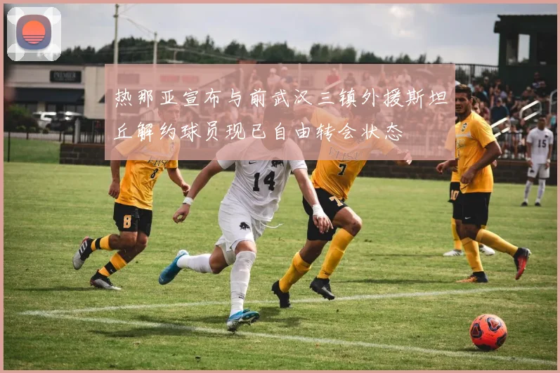 热那亚宣布与前武汉三镇外援斯坦丘解约球员现已自由转会状态