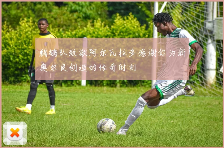 鹈鹕队致敬阿尔瓦拉多感谢你为新奥尔良创造的传奇时刻